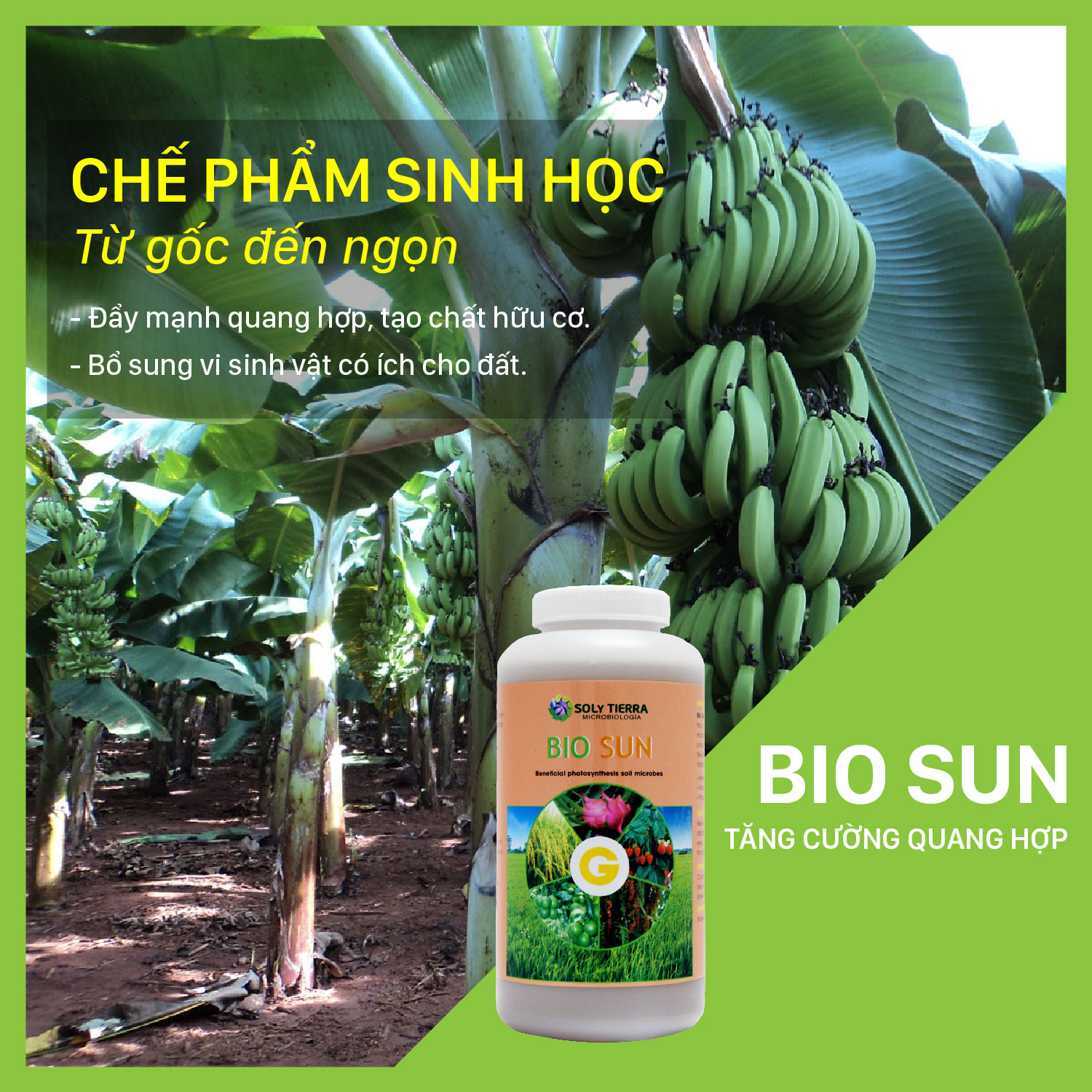 Vi sinh tăng cường, bổ sung quang hợp cho cây Bio Sun NSX Soly Tierra - Chai 1 quarter