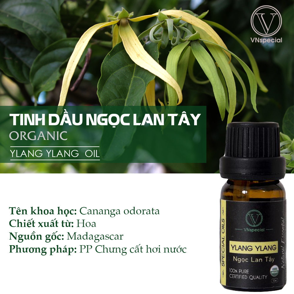 Tinh Dầu Hữu Cơ Ngọc Lan Tây | Organic Ylang Ylang Oil| Tinh dầu Nhập Khẩu USDA - Vnspecial Oils (10ml)