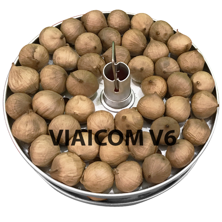 Máy làm tỏi đen VIAICOM V6 - 6 lít - CN Nhật Bản - Hàng chính hãng