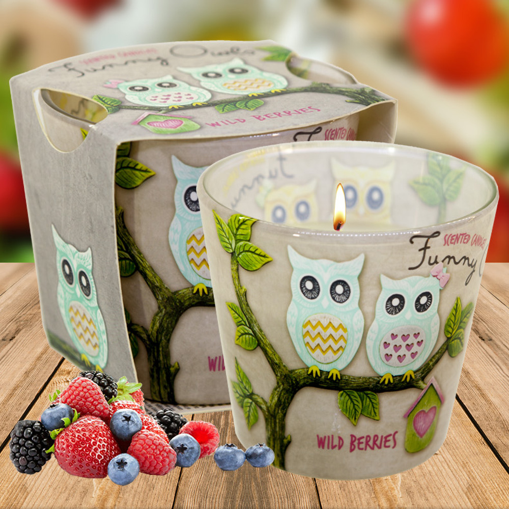 Ly nến thơm tinh dầu Bartek Funny Owls 115g QT00668 - hương quả ngọt (giao mẫu ngẫu nhiên)