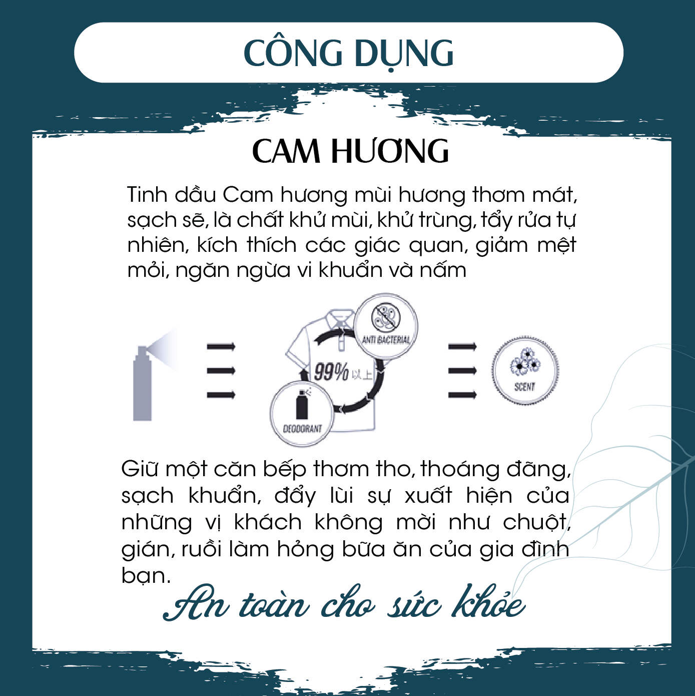 Xịt kháng khuẩn và khử mùi bếp tinh dầu Cam Hương PK - Khử mùi hiệu quả, lau chùi, thanh lọc không khí