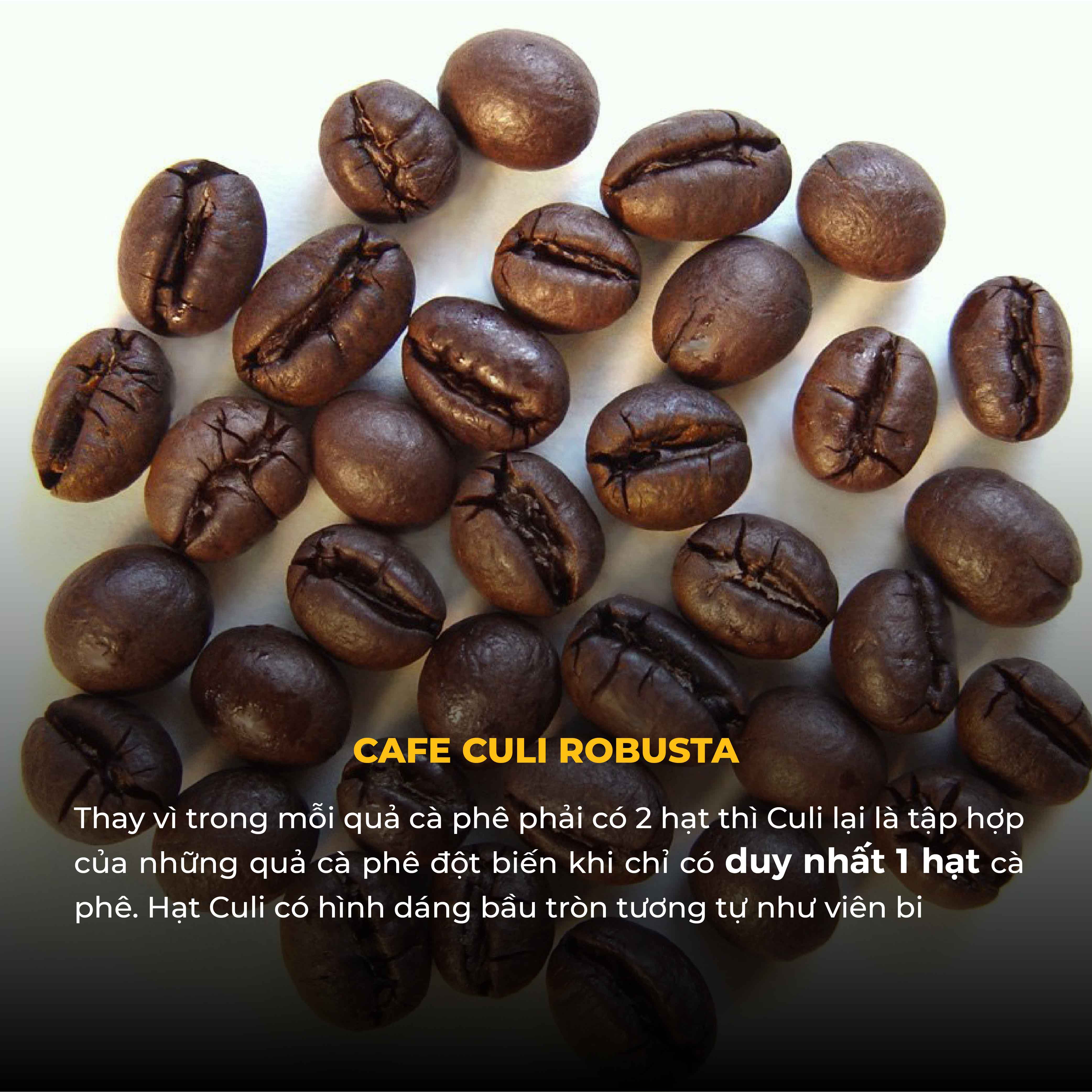 Combo Cà Phê Bột ARABICA Thượng Hạng & Culi Robusta