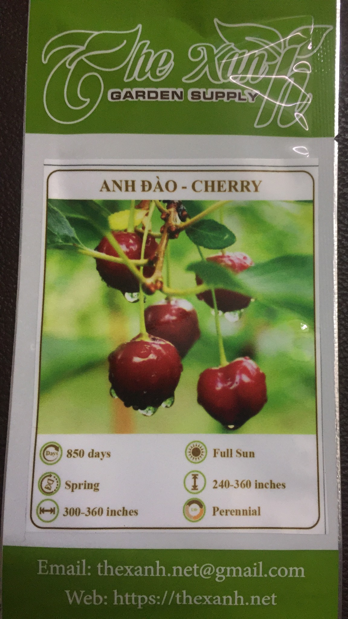 Bộ 1 gói Hạt giống cây Anh Đào - Cherry