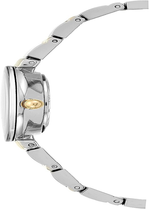 Đồng hồ đeo tay hiệu Anne Klein AK/2435SVTT