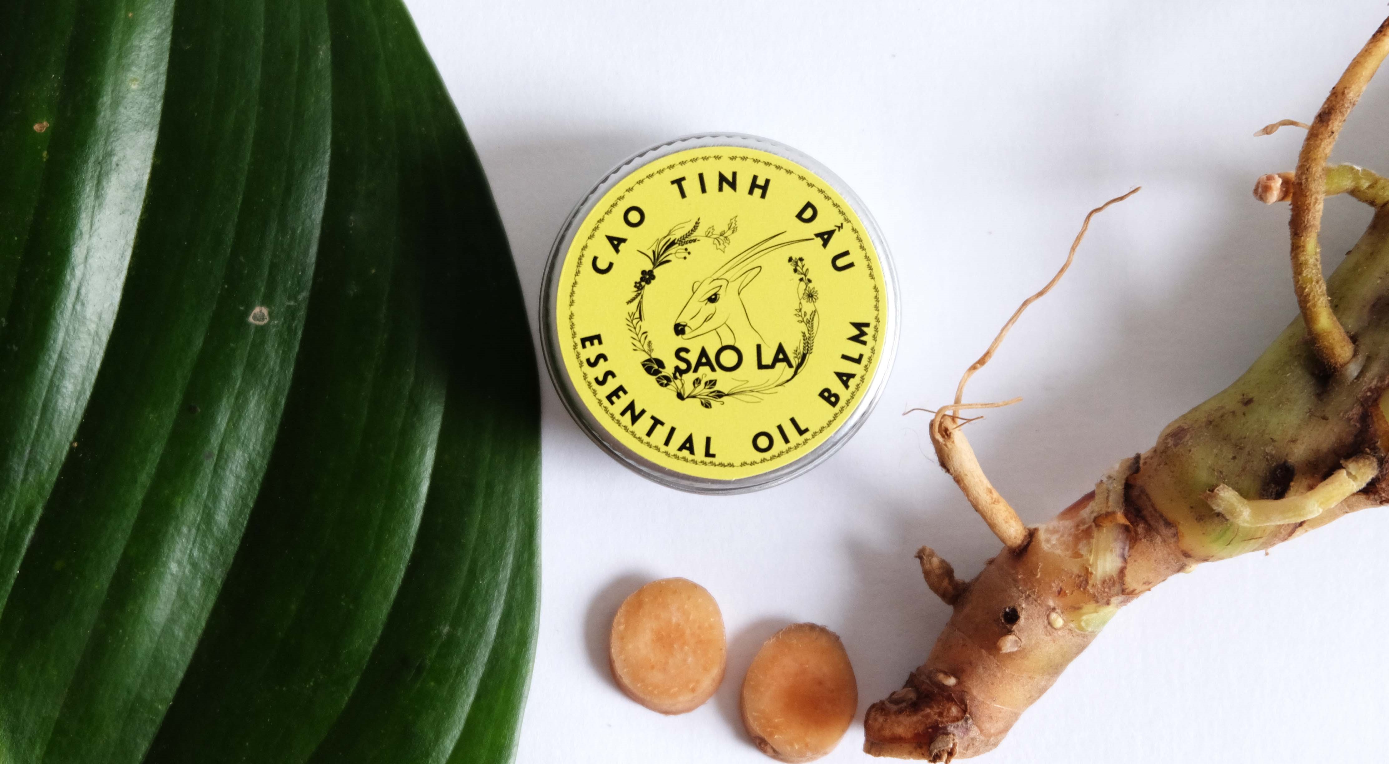 Cao tinh dầu Sao la 11g - Hỗ trợ giảm đau lưng, nhức mỏi, đau khớp, giúp ngủ ngon. Sản phẩm sản xuất từ các loại dược liệu thiên nhiên