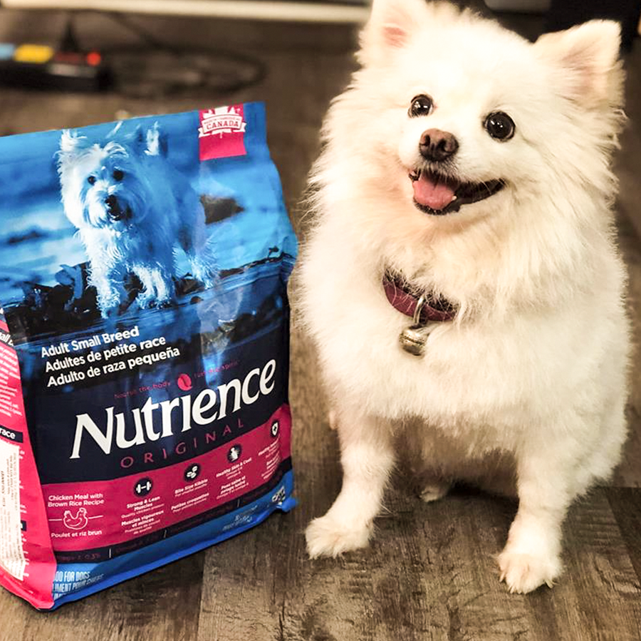 Thức Ăn Cho Chó Poodle Nutrience Infusion 2.27kg - Thịt Gà, Rau Củ Và Trái Cây Tự Nhiên