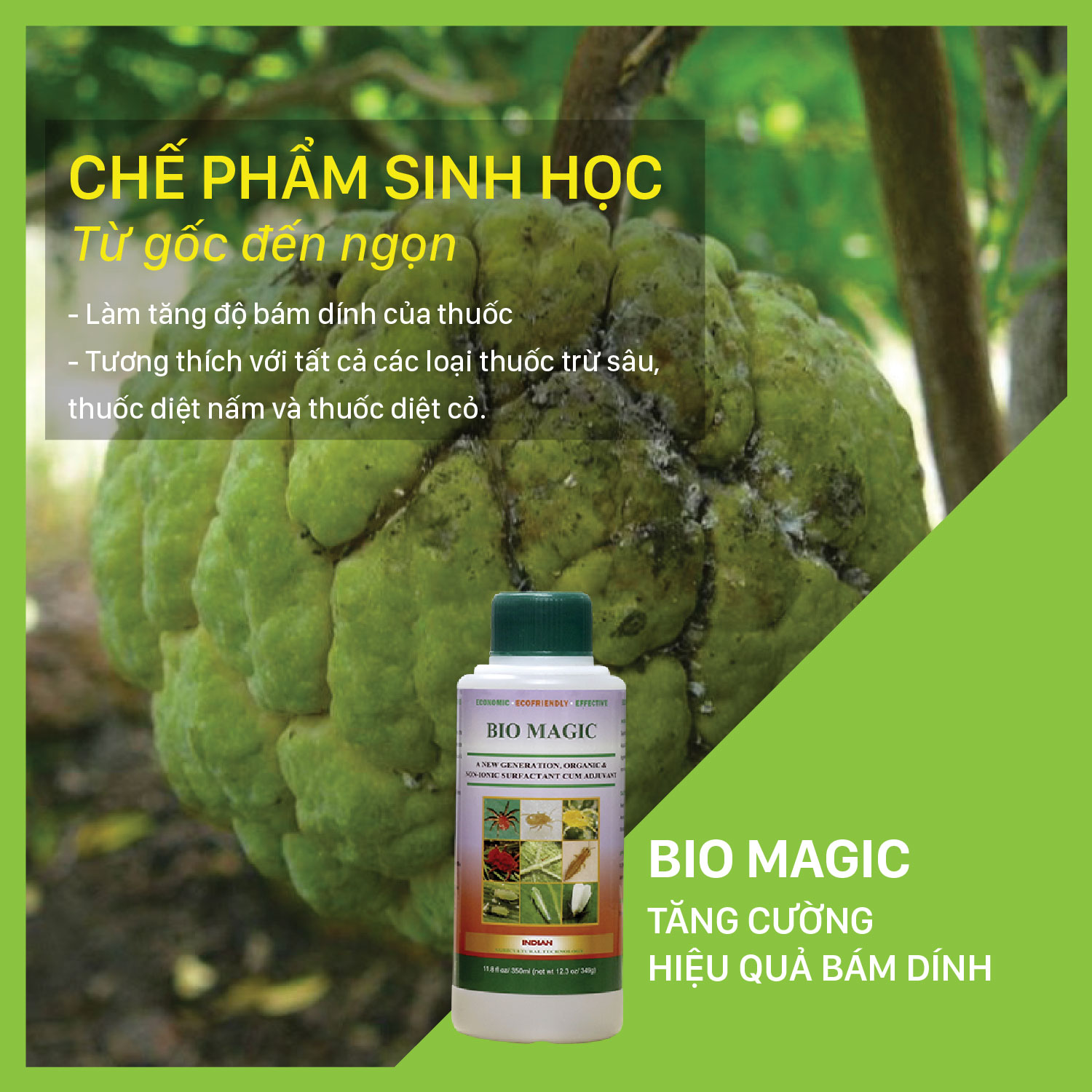 BIO MAGIC - Chai 350 ml - Tăng cường hiệu quả bám dính
