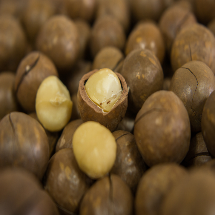 Hạt Macca nướng nứt vỏ DK HARVEST nhập khẩu Australia