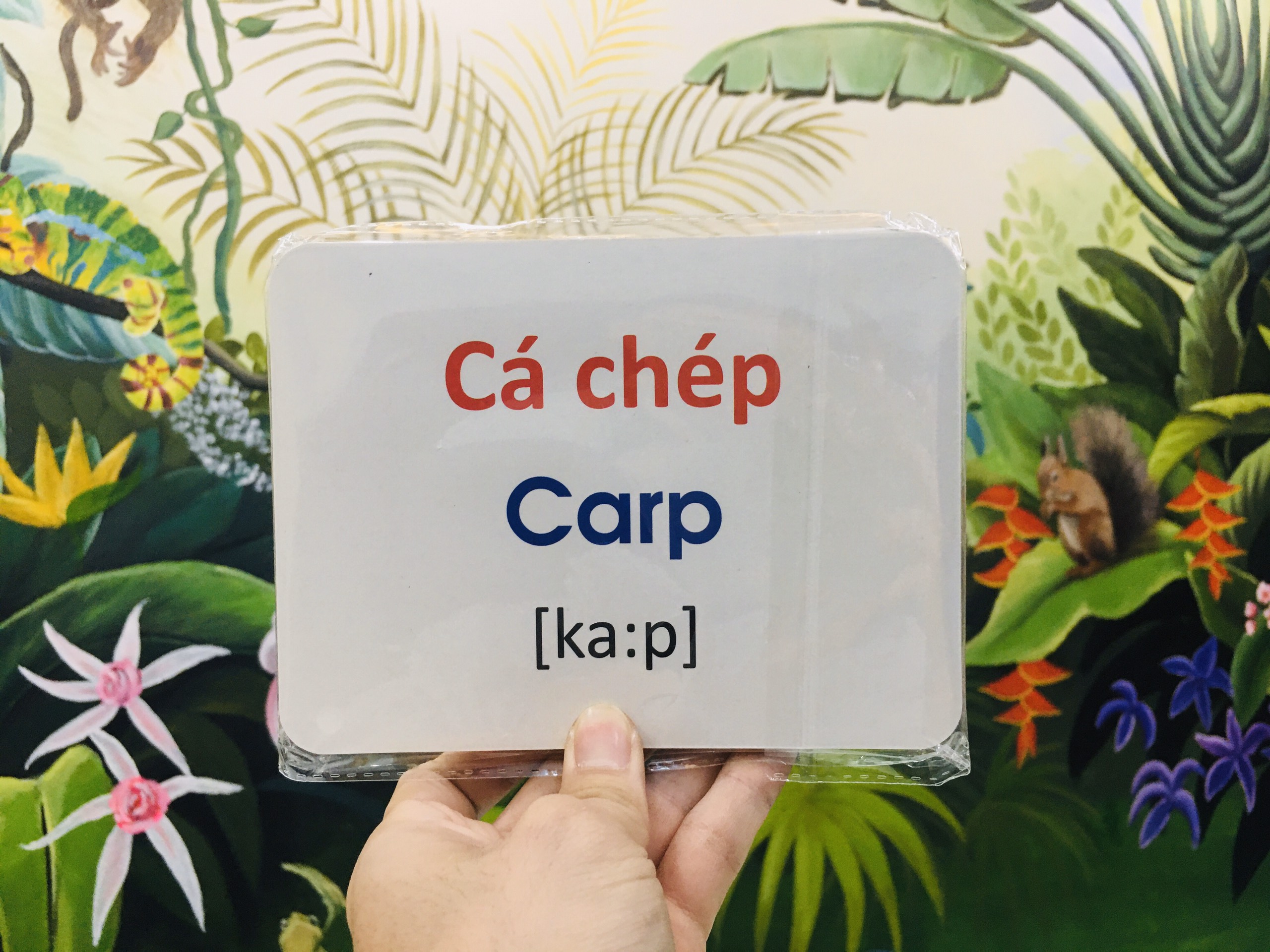 Thẻ Học Thông Minh Flashcard Song Ngữ Cho Bé