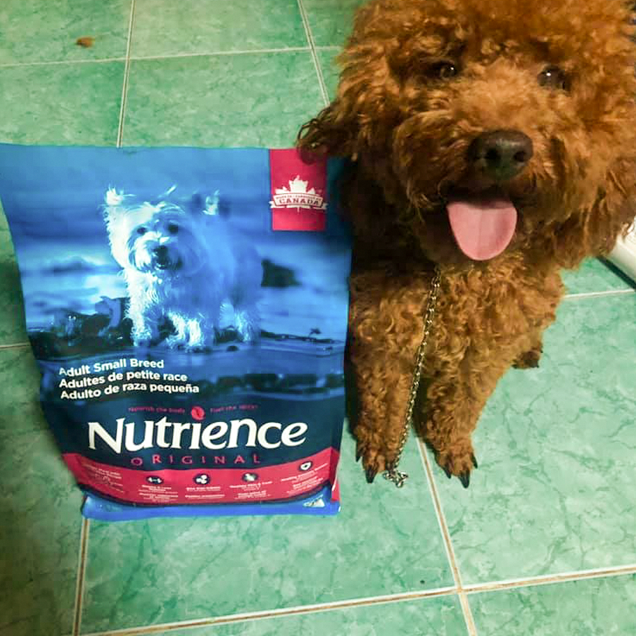 Thức Ăn Cho Chó Poodle Nutrience Infusion 2.27kg - Thịt Gà, Rau Củ Và Trái Cây Tự Nhiên