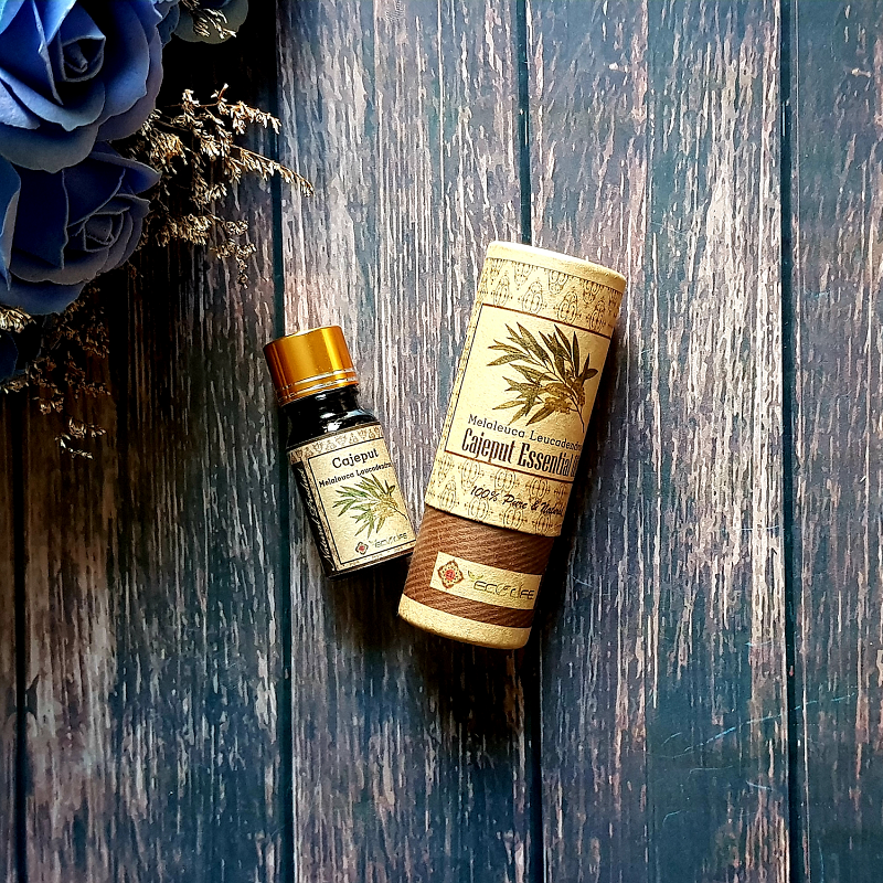 Tinh dầu tràm gió nguyên chất Ecolife - Cajeput Essential Oil