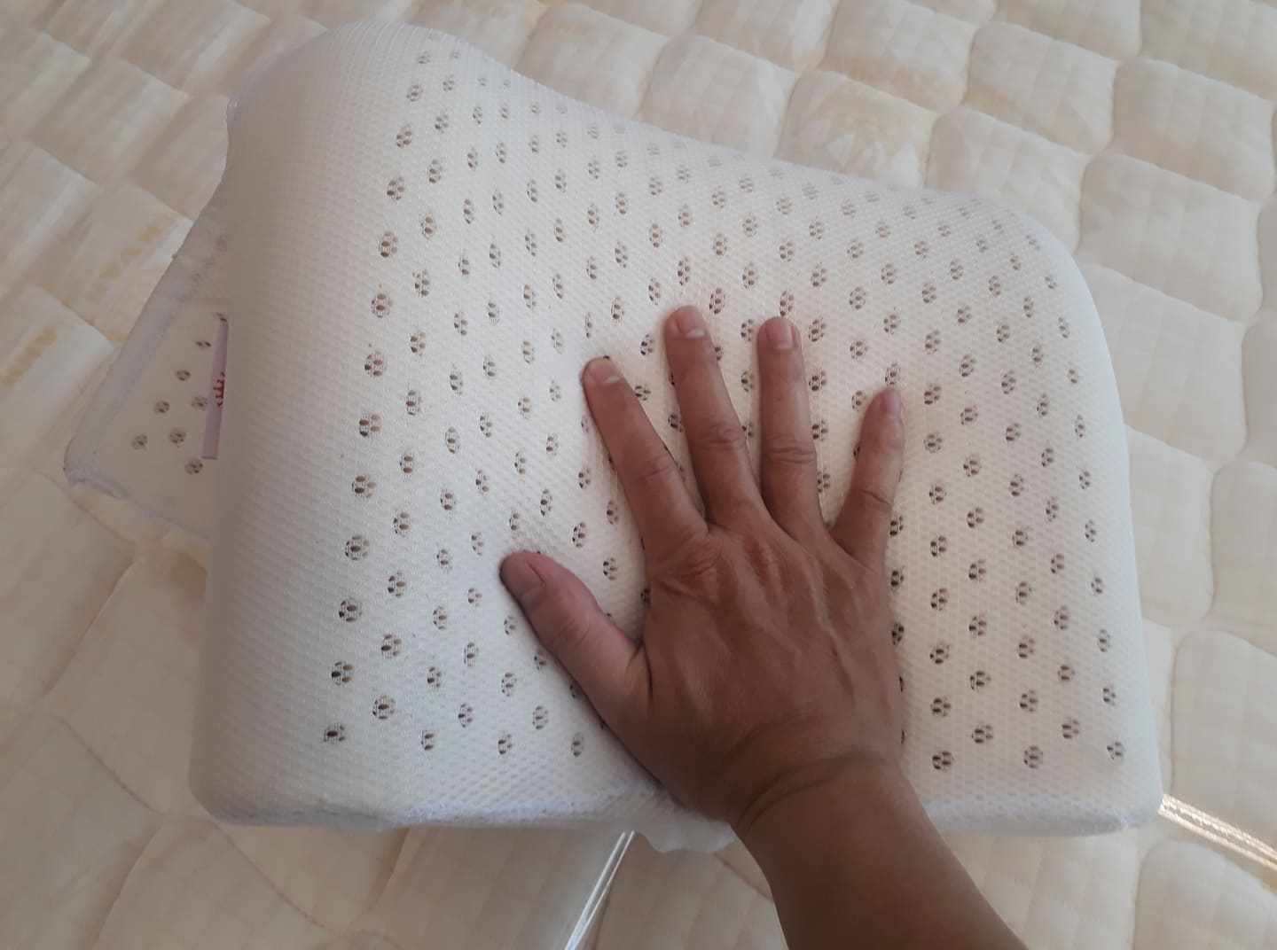 Gối cao su thiên nhiên dợn sóng B1 Vạn Thành