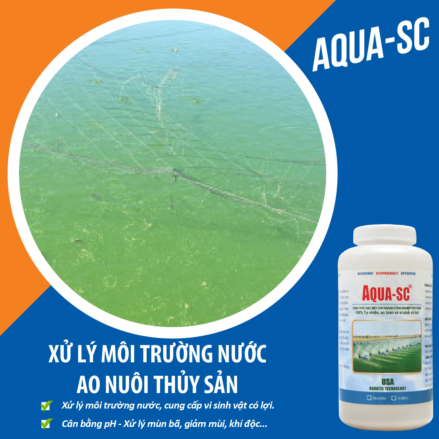 AQUA SC - Vi sinh xử lý nước hồ cá cảnh, cá koi, cá chép, nước ao nuôi trồng thủy sản - Chai 1 quarter