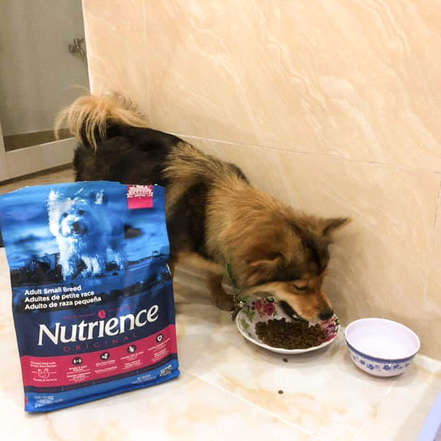 Thức Ăn Cho Chó Poodle Nutrience Infusion 2.27kg - Thịt Gà, Rau Củ Và Trái Cây Tự Nhiên