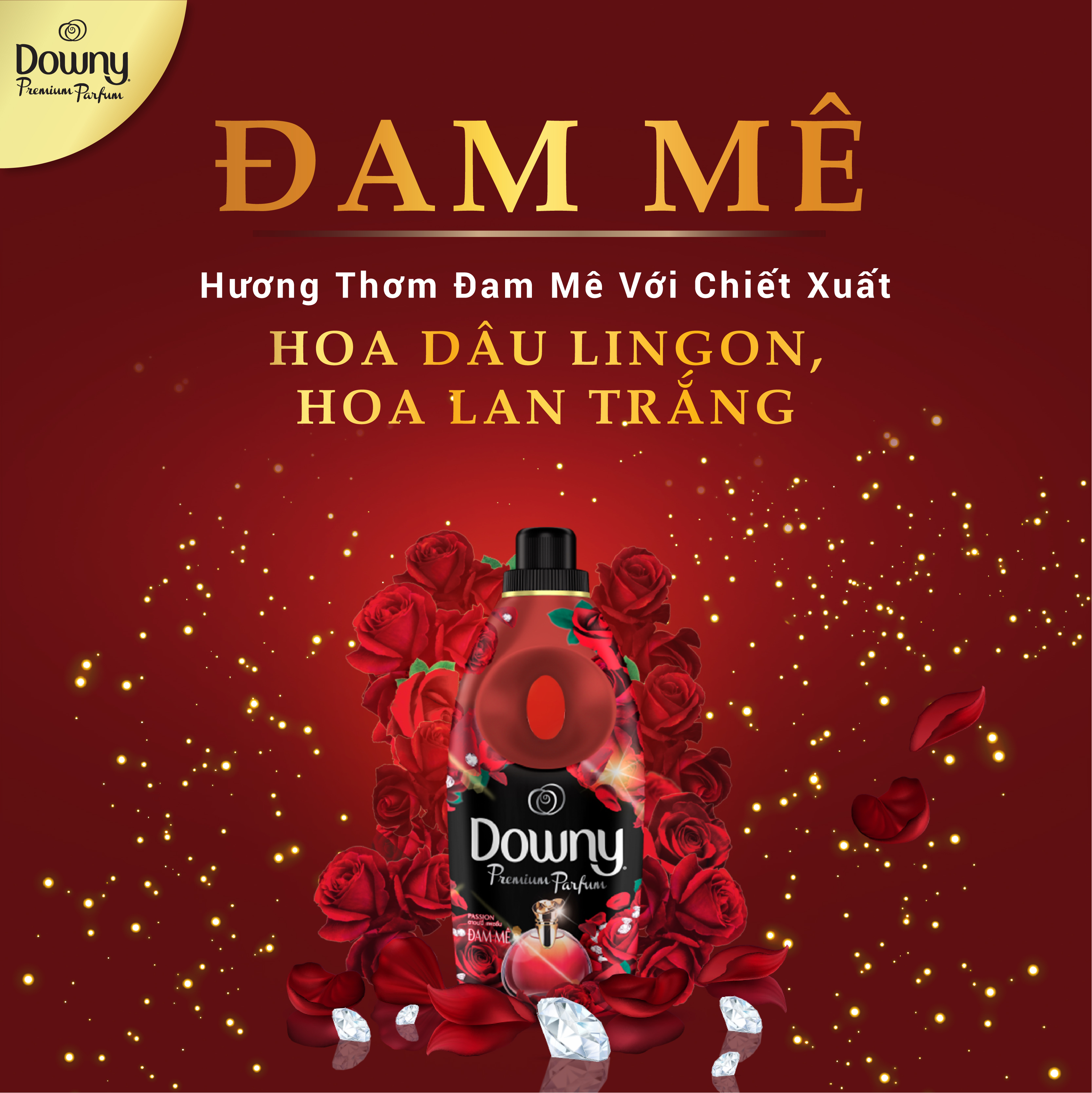 Nước xả vải Downy Đam mê 2.3L Combo 2 túi