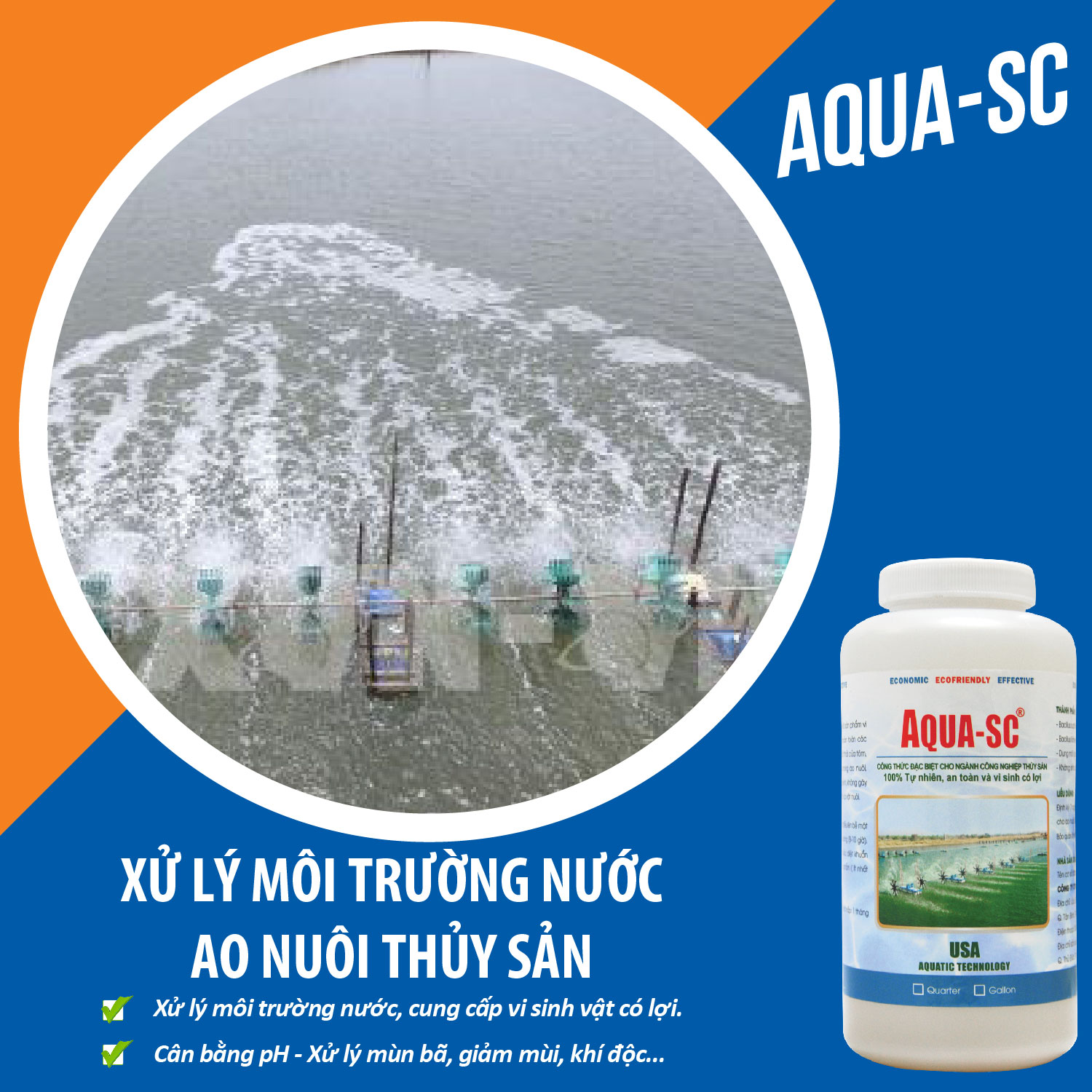AQUA SC - Vi sinh xử lý nước hồ cá cảnh, cá koi, cá chép, nước ao nuôi trồng thủy sản - Chai 1 quarter