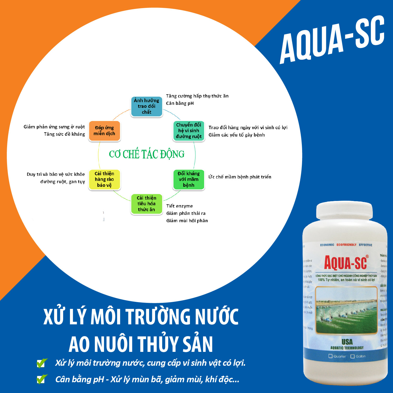 AQUA SC - Vi sinh xử lý nước hồ cá cảnh, cá koi, cá chép, nước ao nuôi trồng thủy sản - Chai 1 quarter