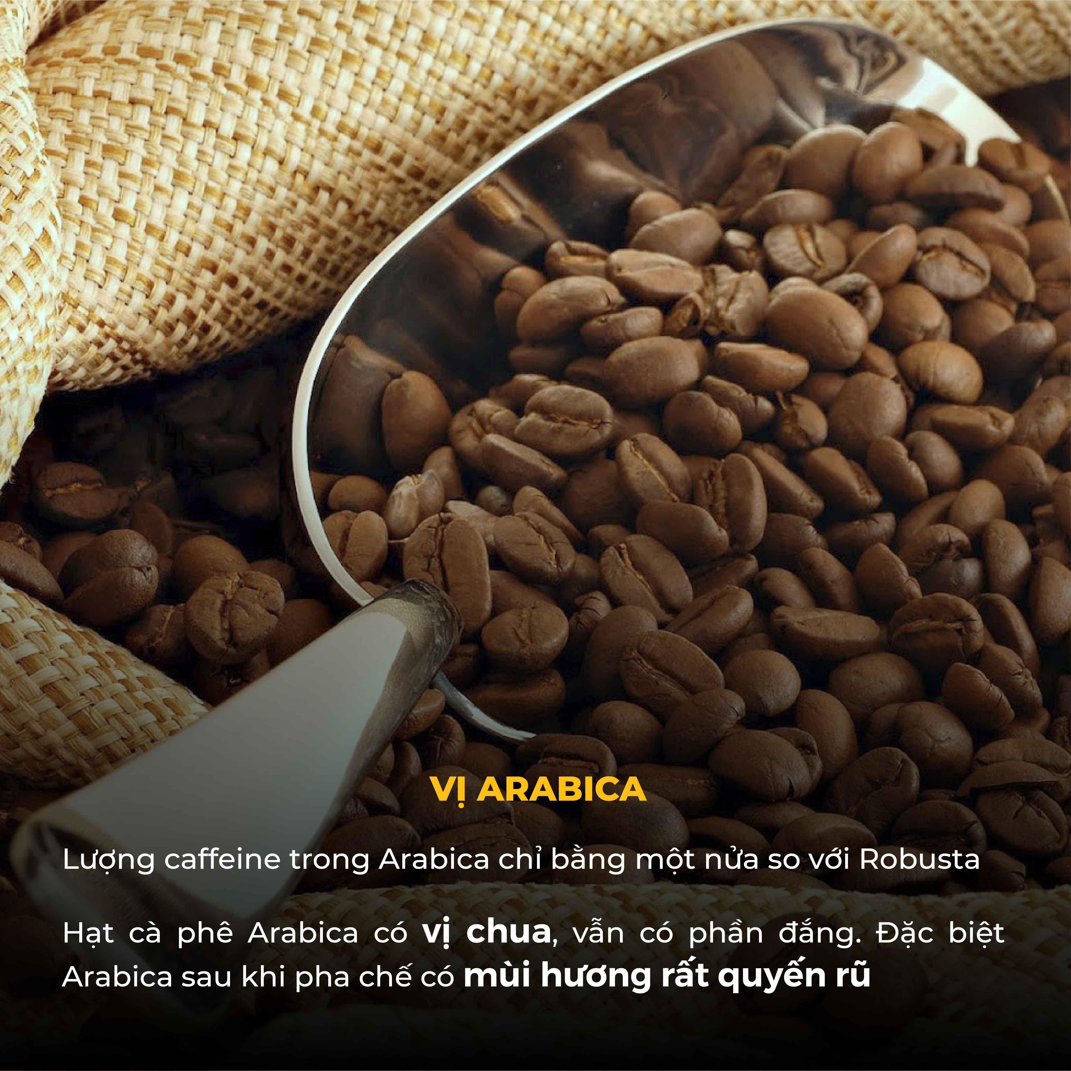 Combo Cà Phê Bột ARABICA Thượng Hạng & Culi Robusta
