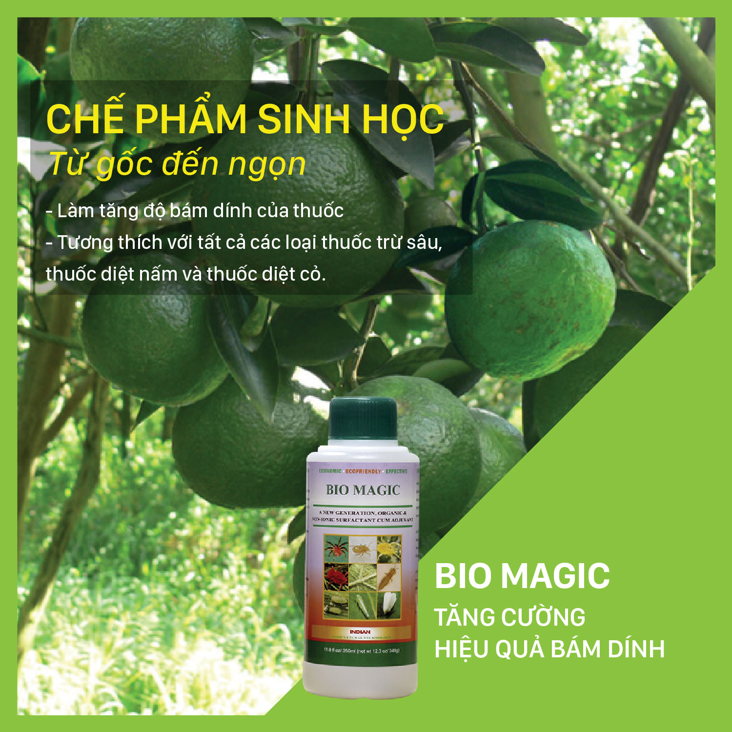 BIO MAGIC - Chai 350 ml - Tăng cường hiệu quả bám dính