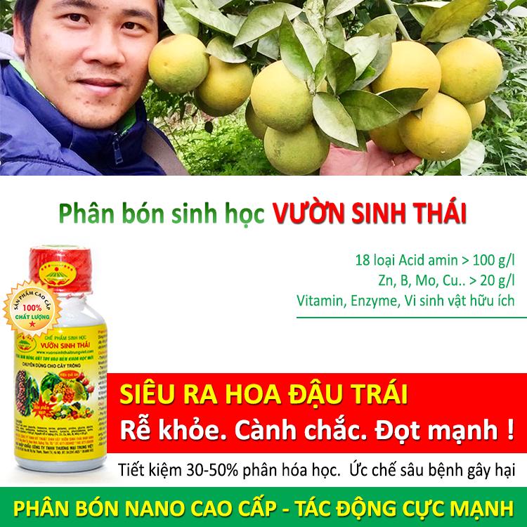 Phân bón lá sinh học VƯỜN SINH THÁI. Giúp rễ khỏe, cành chắc, đọt mạnh, ra hoa đậu trái nhiều. Ức chế sâu, bệnh hại. 1 chai phun 7000m2. Chiết xuất 100% từ Thiên Nhiên. HSD: 4 năm