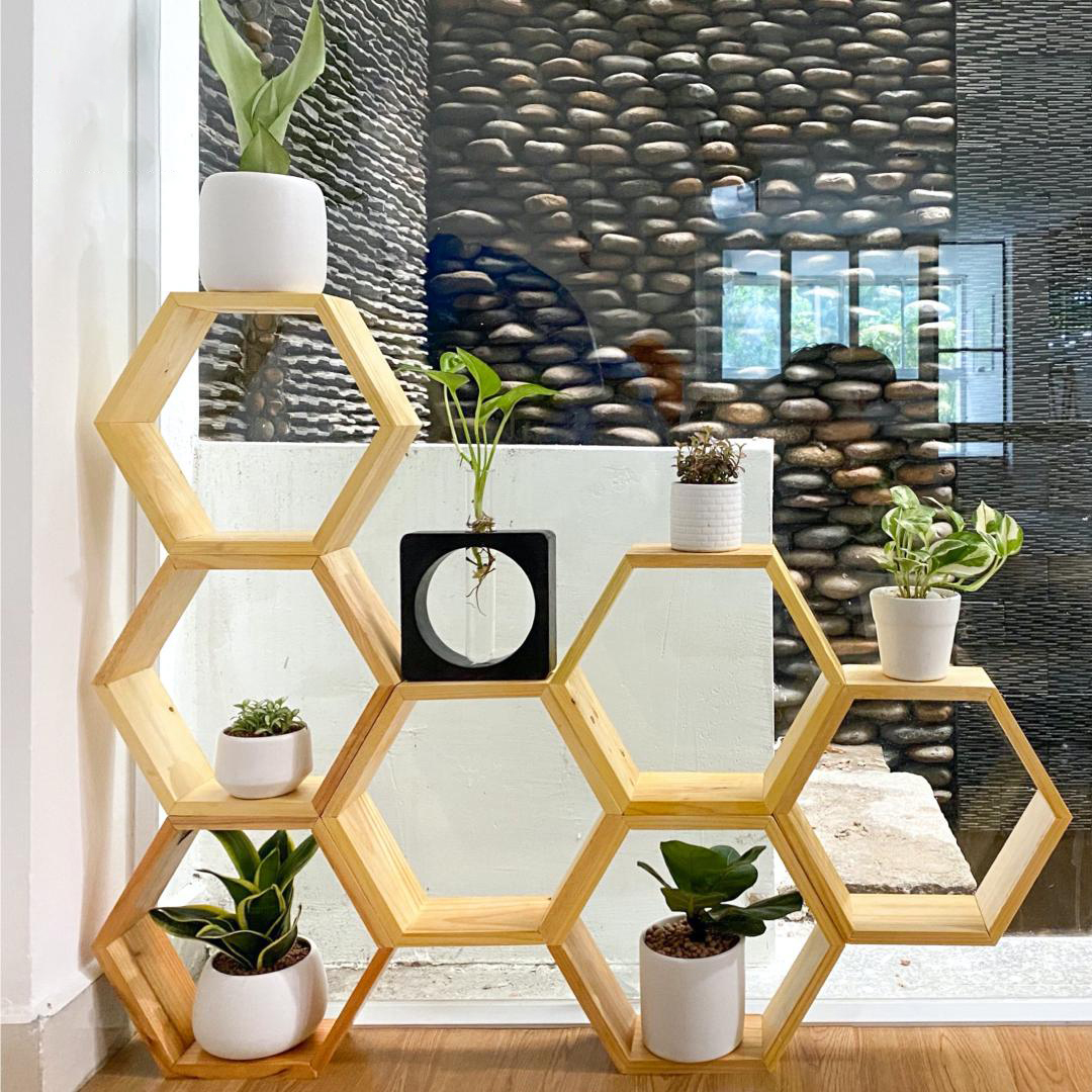 Set 5 kệ lục giác treo tường trang trí gỗ thông tự nhiên