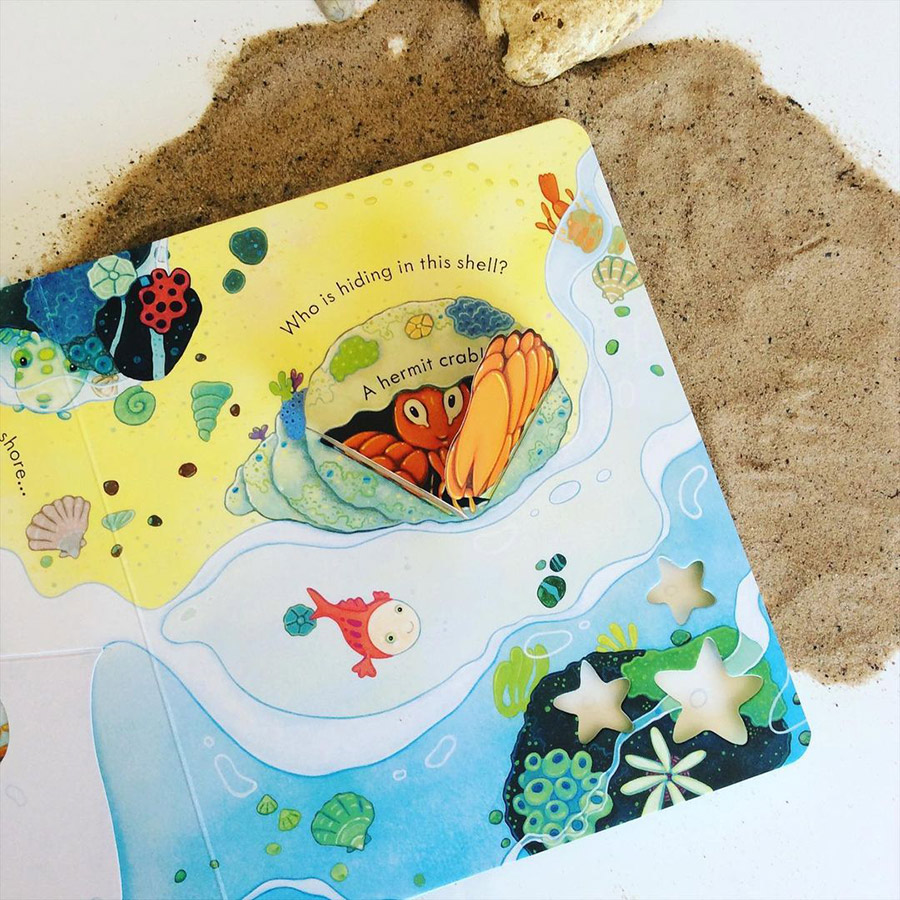 Usborne Peep Inside The Sea (Board book)