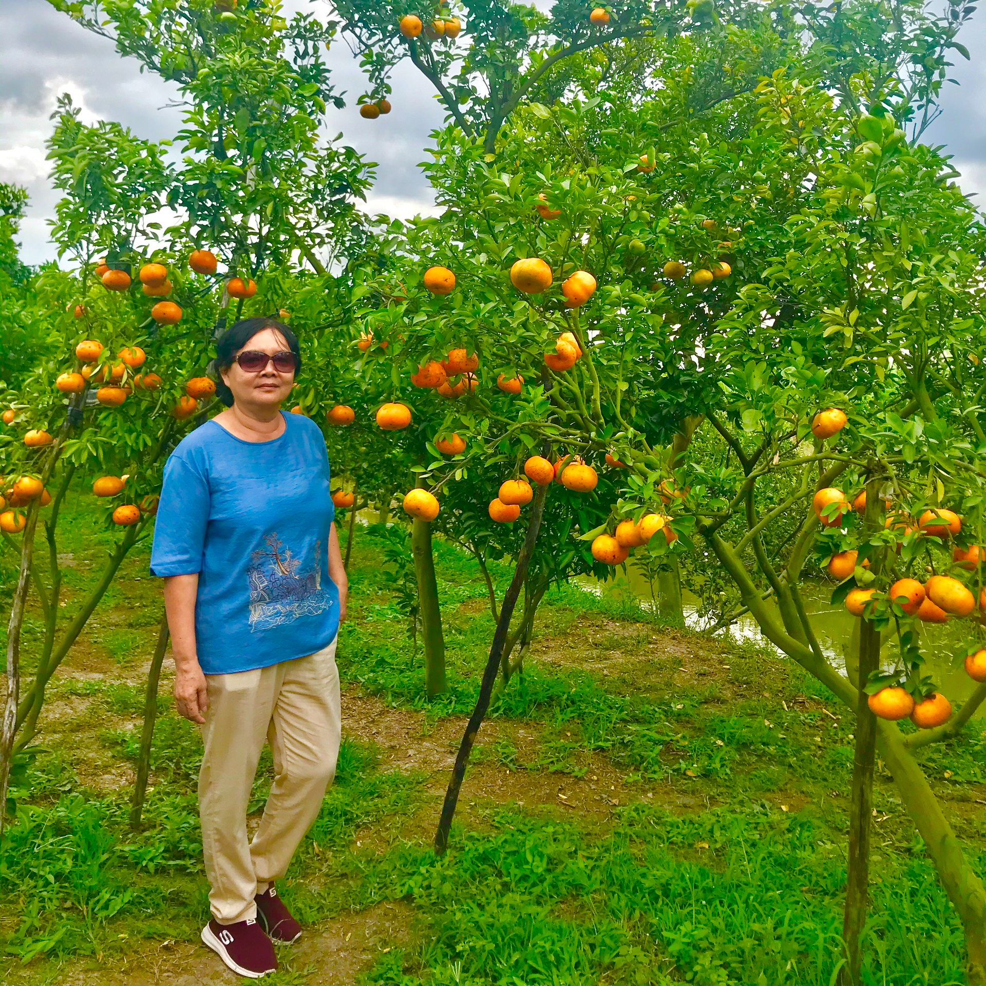 TOUR LÀNG HOA SA ĐÉC - VƯỜN QUÍT HỒNG LAI VUNG - CHÙA PHẬT NGỌC XÁ LỢI - 1 NGÀY - HAPPY TOUR