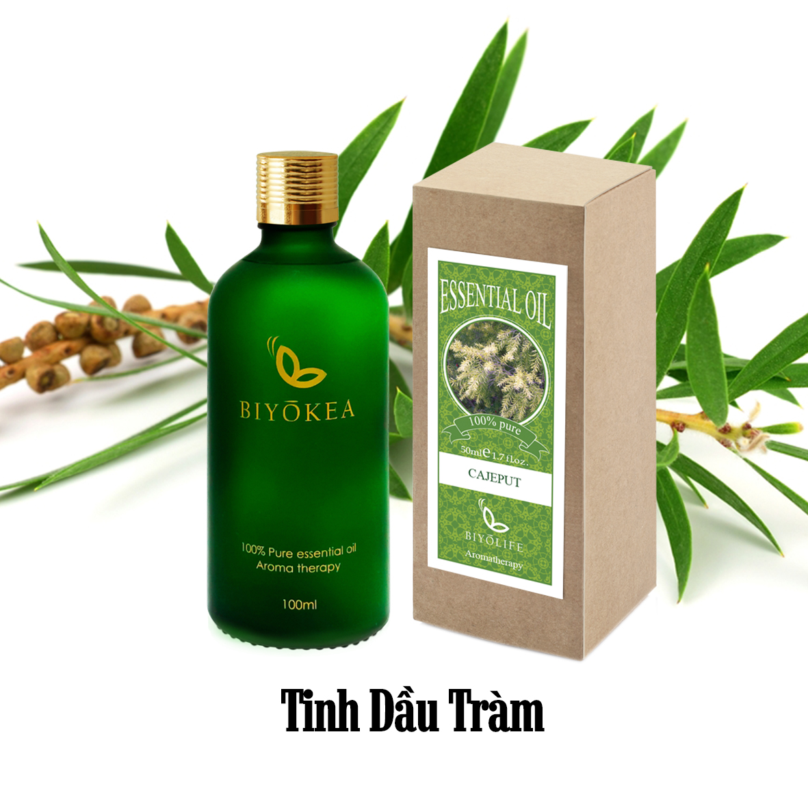 Tinh dầu Tràm (Cajeput) - 100ml