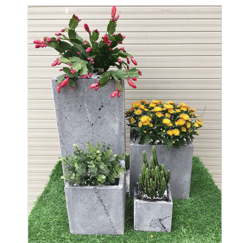 Combo 4 Chậu trồng cây ban công handmade từ đá ong xám tự nhiên KT  &  &  và