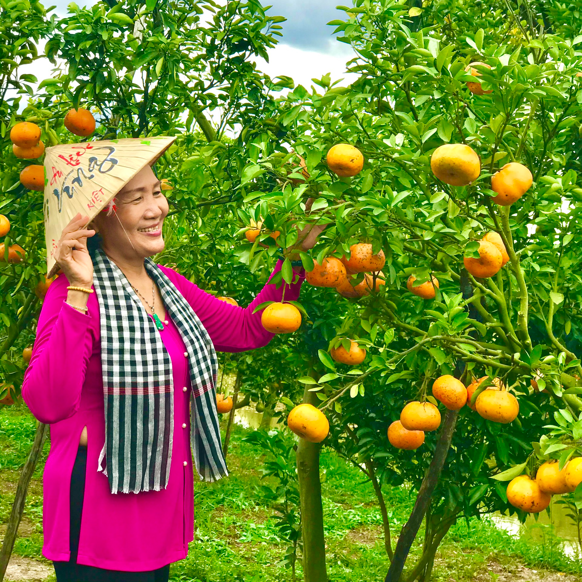 TOUR LÀNG HOA SA ĐÉC - VƯỜN QUÍT HỒNG LAI VUNG - CHÙA PHẬT NGỌC XÁ LỢI - 1 NGÀY - HAPPY TOUR