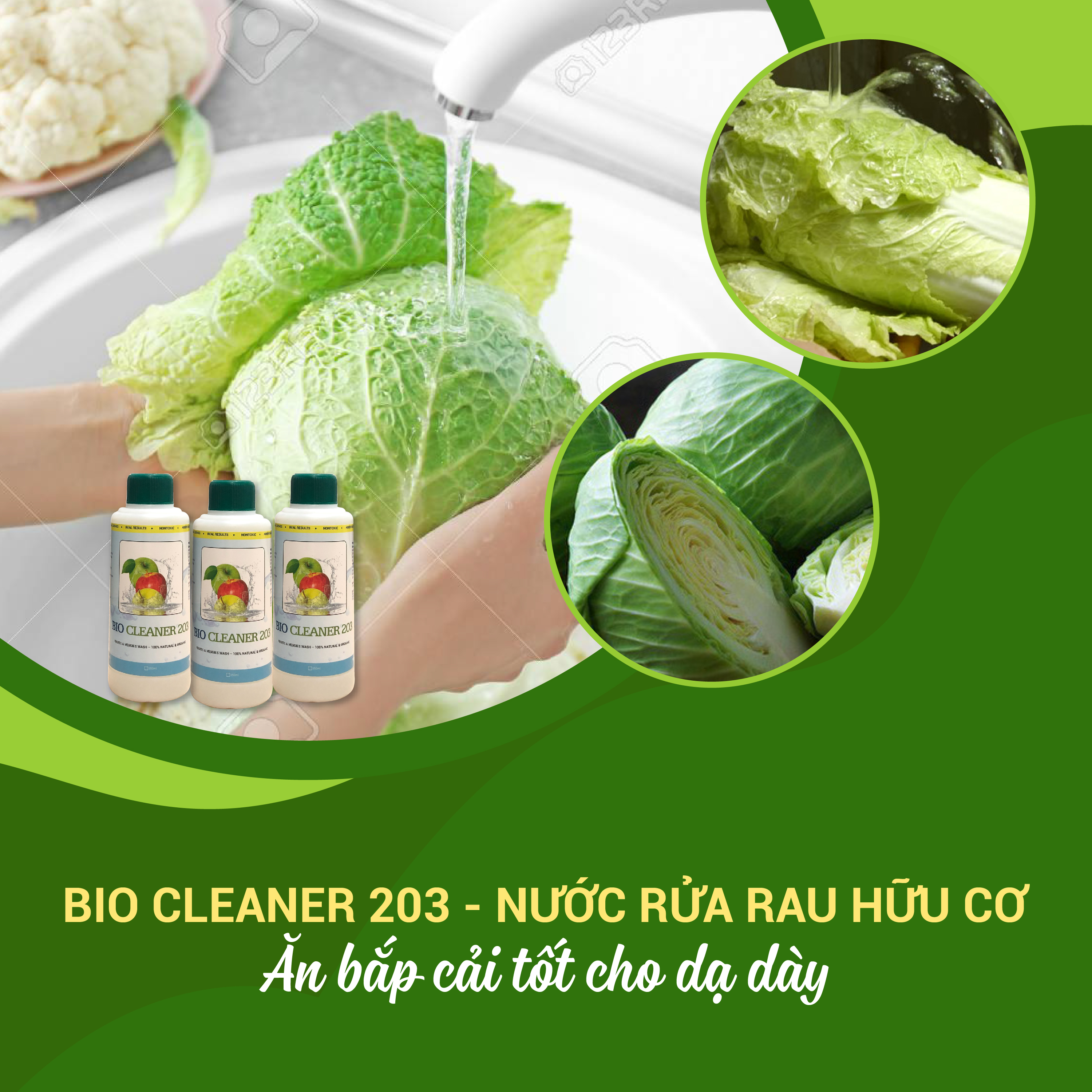 Nước rửa rau quả, trái cây sinh học hữu cơ Bio Cleaner 203 (350 ml)
