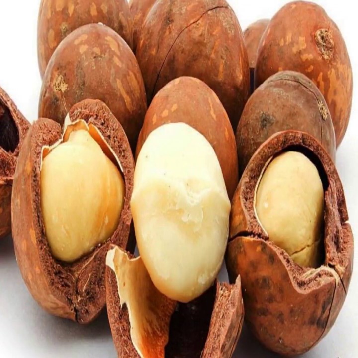 Hạt Macca nướng nứt vỏ DK HARVEST nhập khẩu Australia