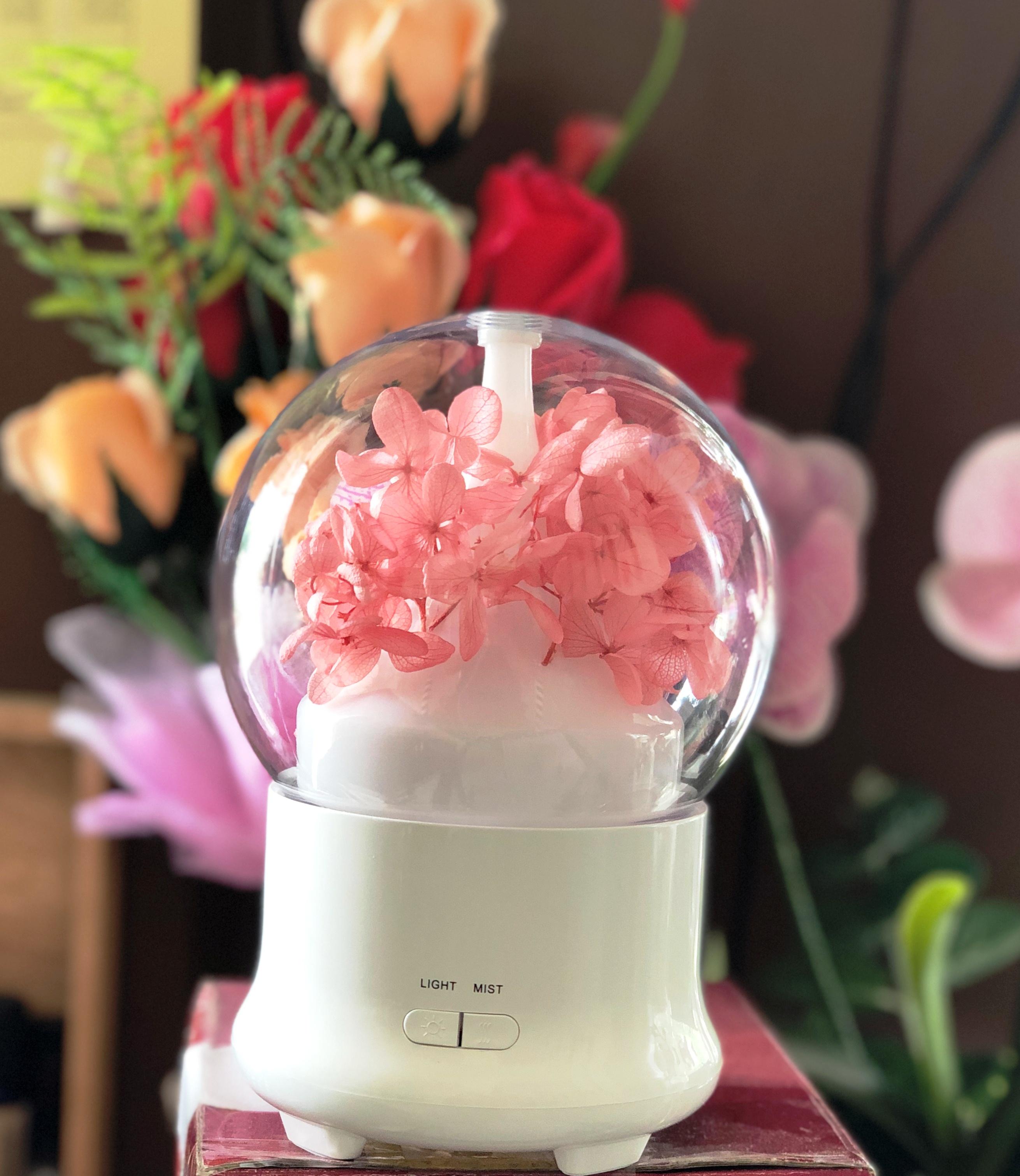 Máy khuếch tán tinh dầu hoa cỏ khô tích hợp led đổi màu ( giao mẫu ngẫu nhiên)