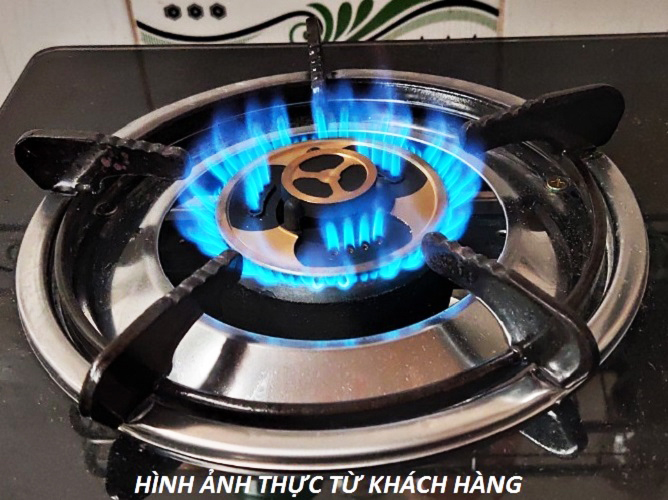 Bếp Ga Đôi Tiết Kiệm Gas SANKAtech 527BB - Điếu đúc gang nguyên khối, Sen Đồng - Hàng chính hãng