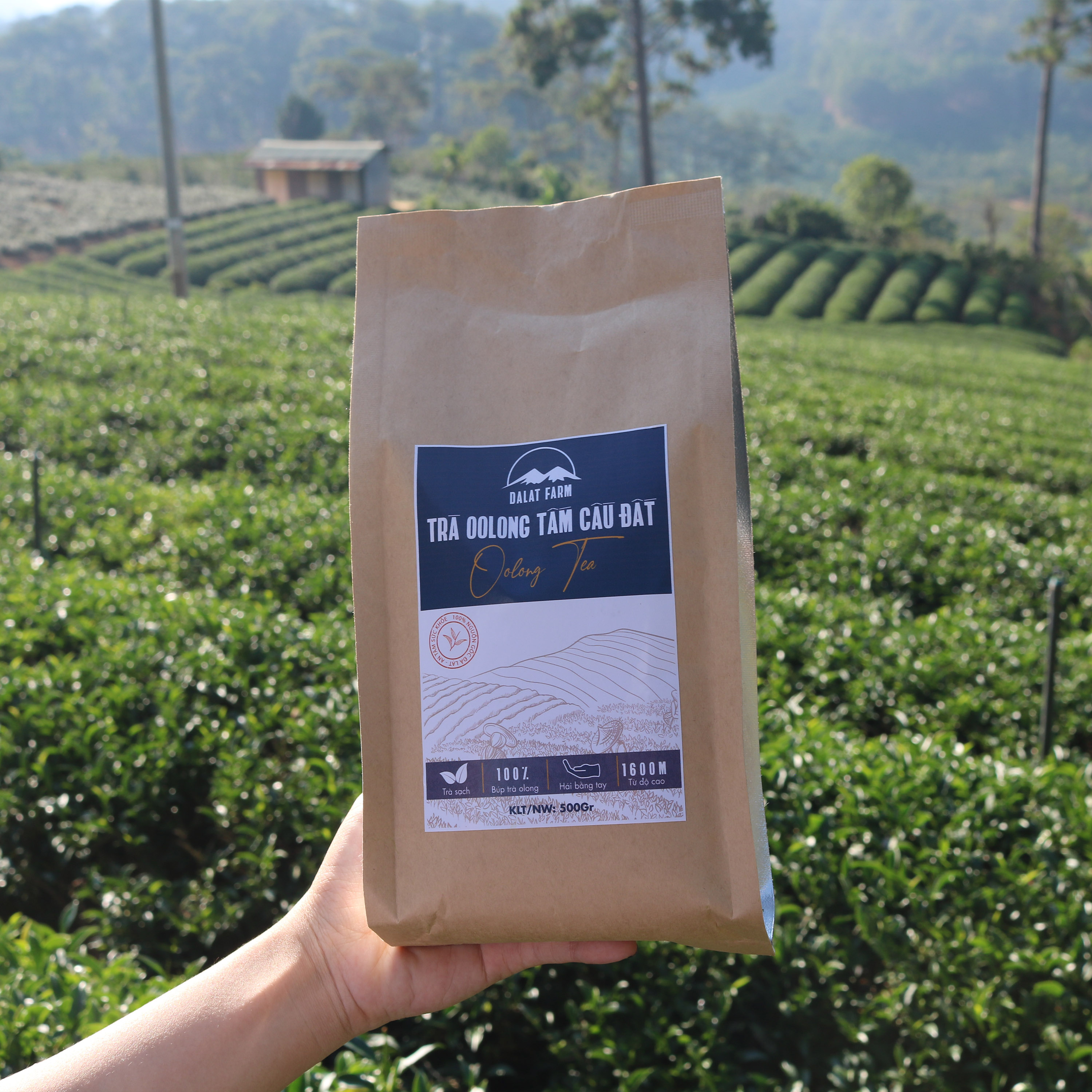 Trà Oolong Tấm Cầu Đất - Túi 500Gr - Nguyên liệu làm trà sữa tự pha chế trà sữa đài loan Dalat Farm