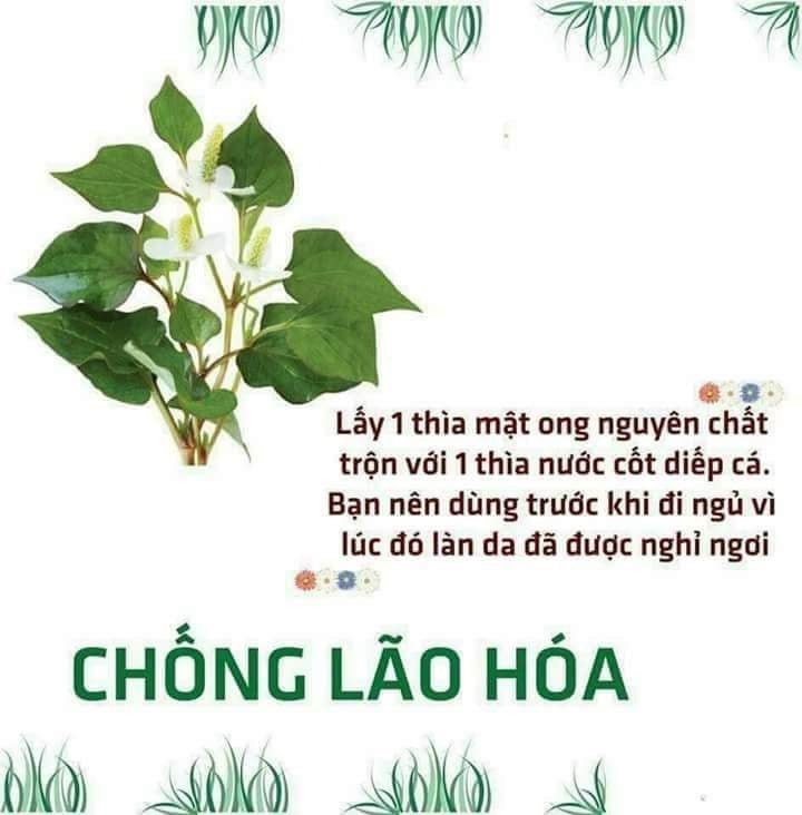 Bột Diếp Cá Nguyên Chất Mẹ Ken 100g