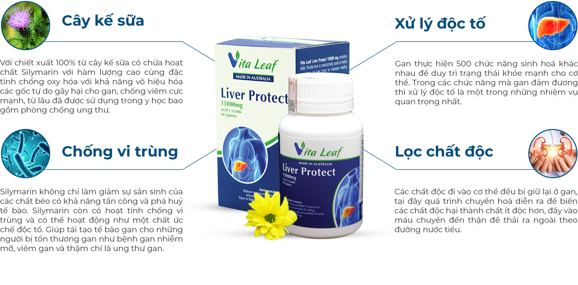 Thực phẩm Liver Protect 15000mg Vita Leaf bổ sung dinh dưỡng cho người lớn