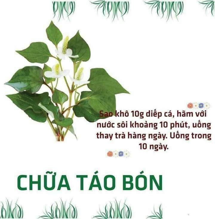 Bột Diếp Cá Nguyên Chất Mẹ Ken 100g