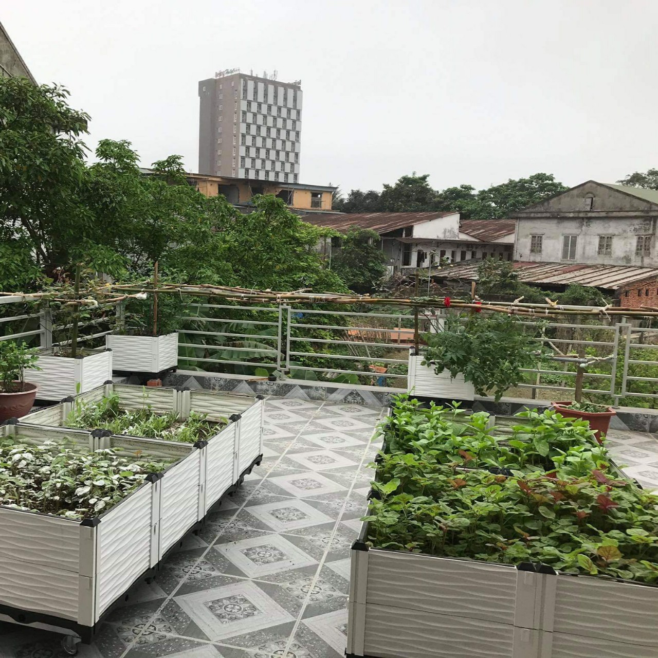 CHẬU GHÉP THÔNG MINH Cm: Bền từ 8-10 năm, phù hợp mọi cây trồng và không gian, Module tùy biến kích thước, an toàn, trọng lượng nhẹ, kết cấu chắc chắn, có khay trữ và thoát nước.