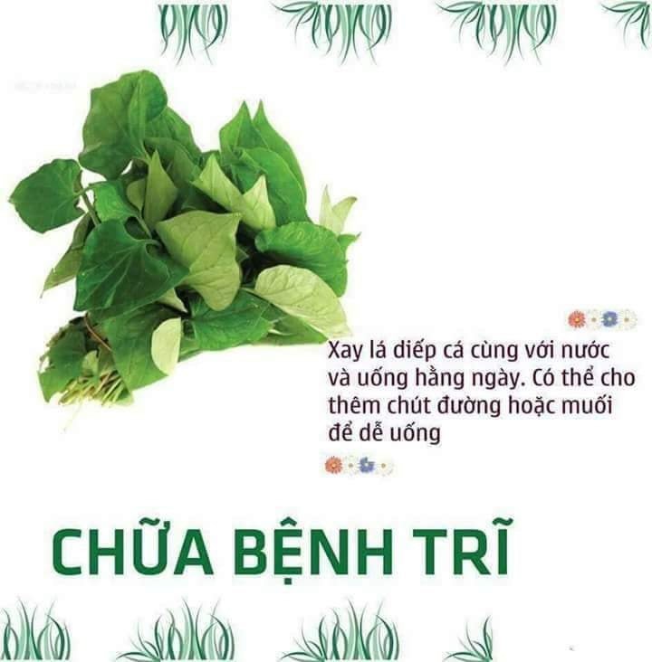 Bột Diếp Cá Nguyên Chất Mẹ Ken 100g