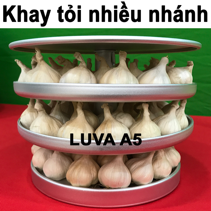 Máy làm tỏi đen công nghệ Nhật Bản LUVA A5(5L)