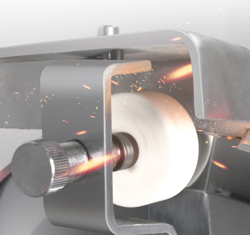 Máy thái thịt tự động SL 300E