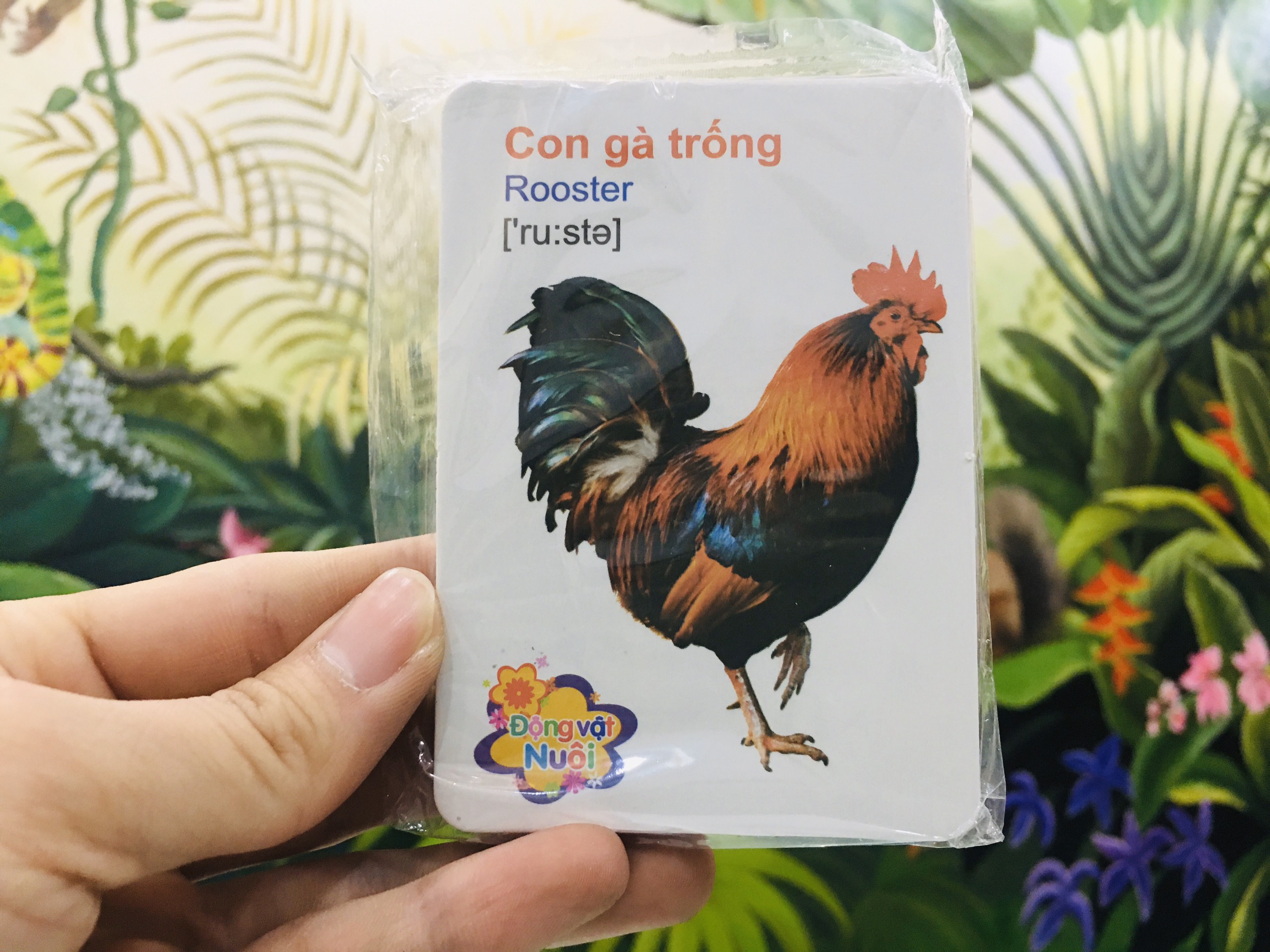 Thẻ Học Thông Minh Flashcard Song Ngữ Cho Bé