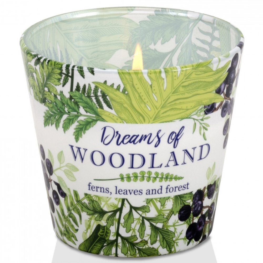 Ly nến thơm tinh dầu Bartek Dream of Woodland 115g QT04962 - cây dương sỉ (Giao mẫu ngẫu nhiên)