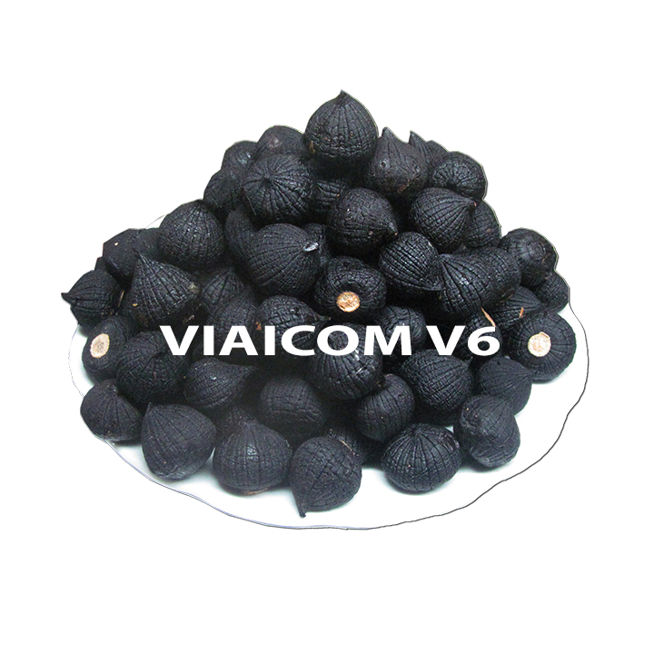 Máy làm tỏi đen VIAICOM V6 - 6 lít - CN Nhật Bản - Hàng chính hãng