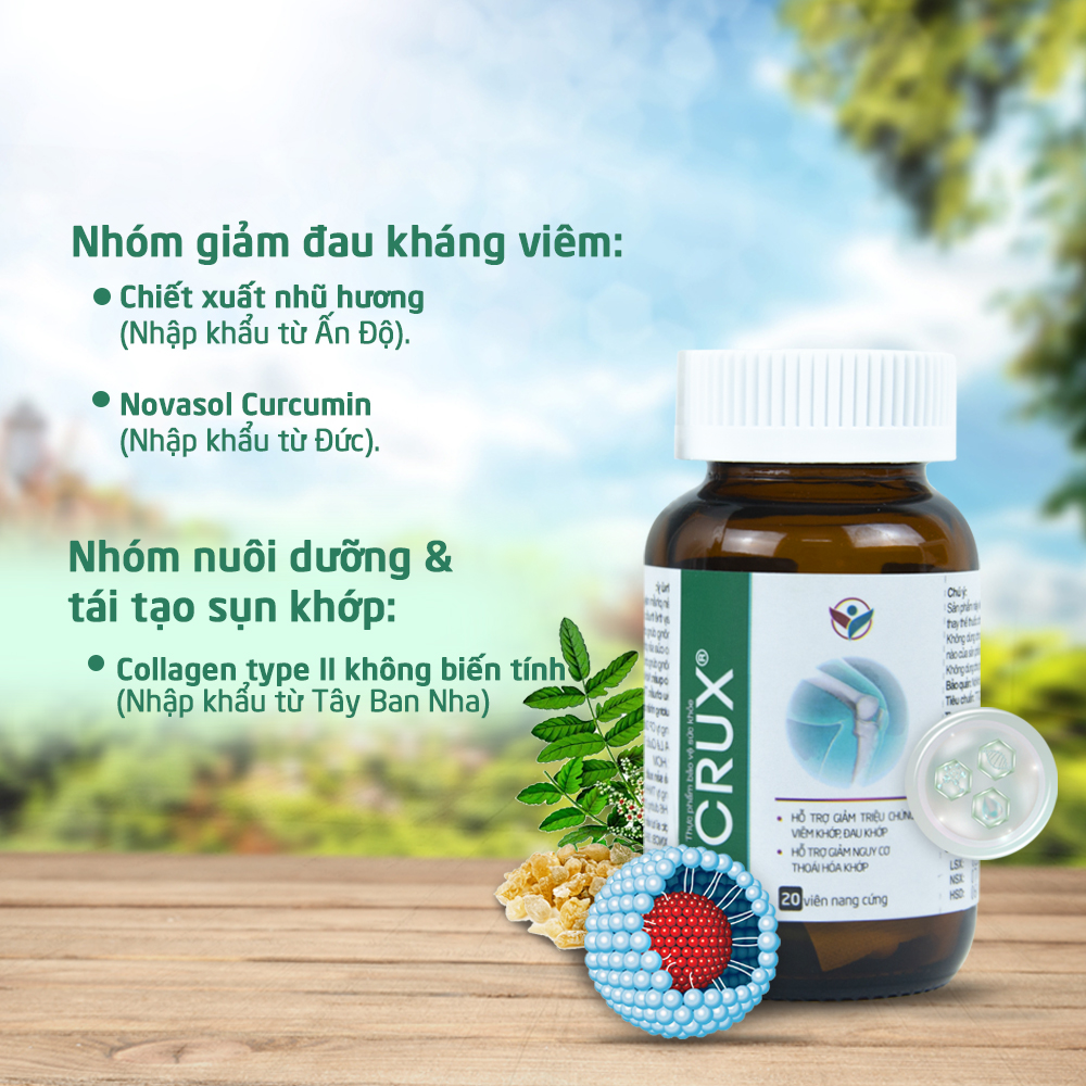 Viên Uống Giảm Đau Khớp, Chống Thoái Hóa Khớp, Tăng Cường Vận Động CRUX (Hộp 20 Viên)