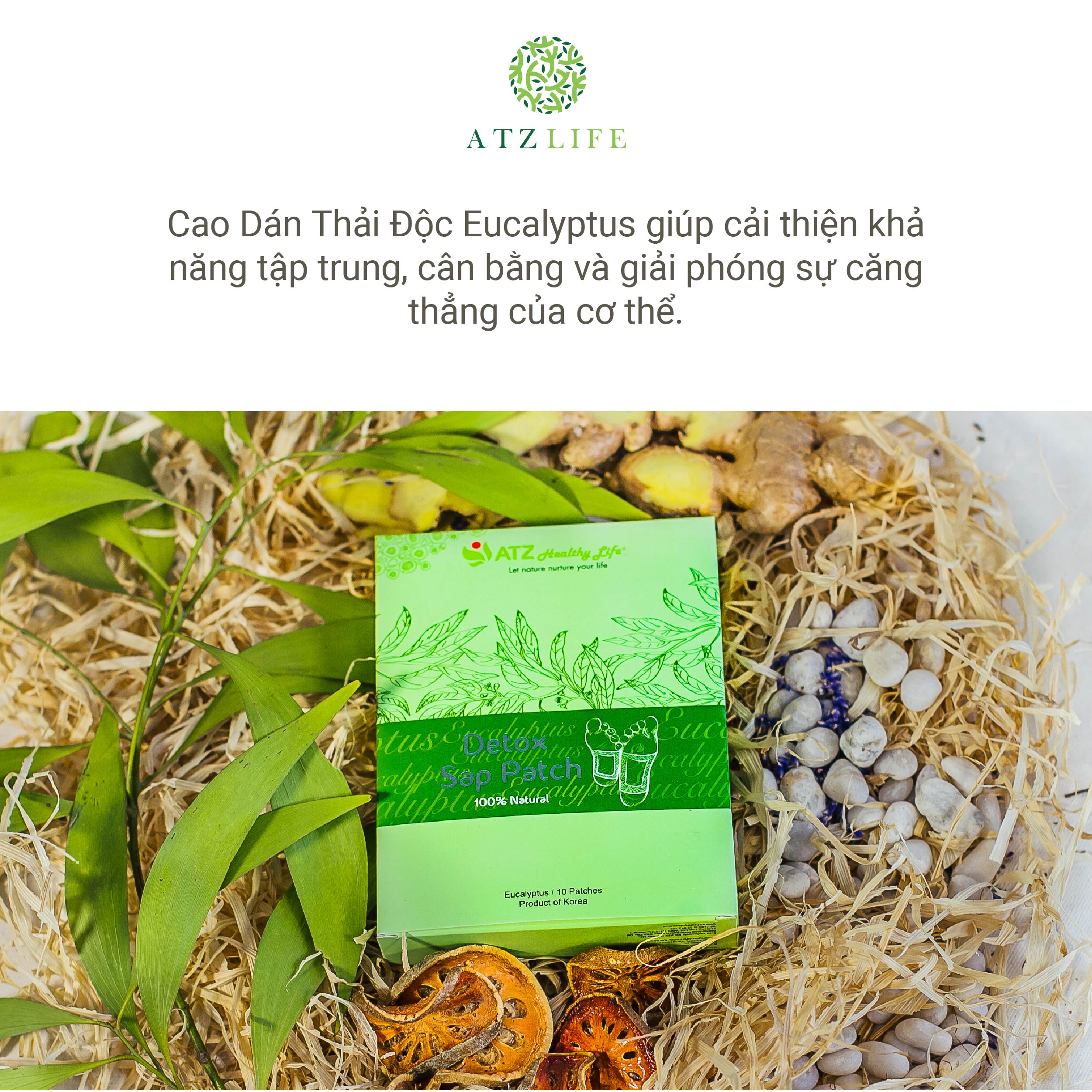 Cao Dán Bàn Chân Thải Độc Kim Loại Nặng ATZ Healthy Life (Khuynh diệp - Eucalyptus Sap Batch)