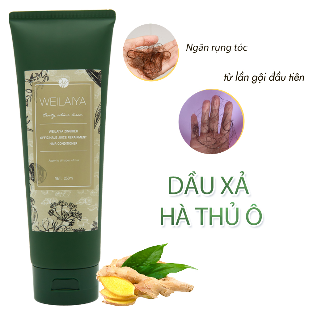 Dầu Xả Weilaiya Tinh Chất Gừng Kết Hợp Hà Thủ Ô Organic Cao Cấp hỗ trợ điều trị Rụng Tóc, Kích Thích Mọc Tóc Giảm Tóc Gãy Rụng, Dành Cho Loại Tóc Hư Tổn Xơ Gãy (200ml) - Sản phẩm chính hãng