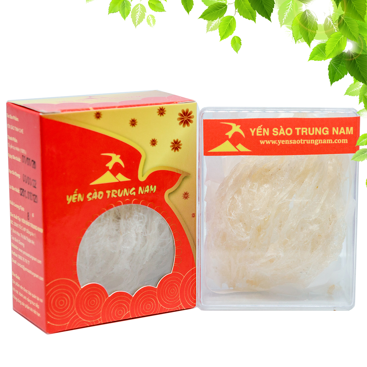 Tổ Yến Sào Tinh Chế (8g/Hộp) (Tổ Yến làm sạch/Tổ Yến Sạch chế biến từ Tổ Yến Thô /Tổ Yến còn lông) Yến Sào Trung Nam