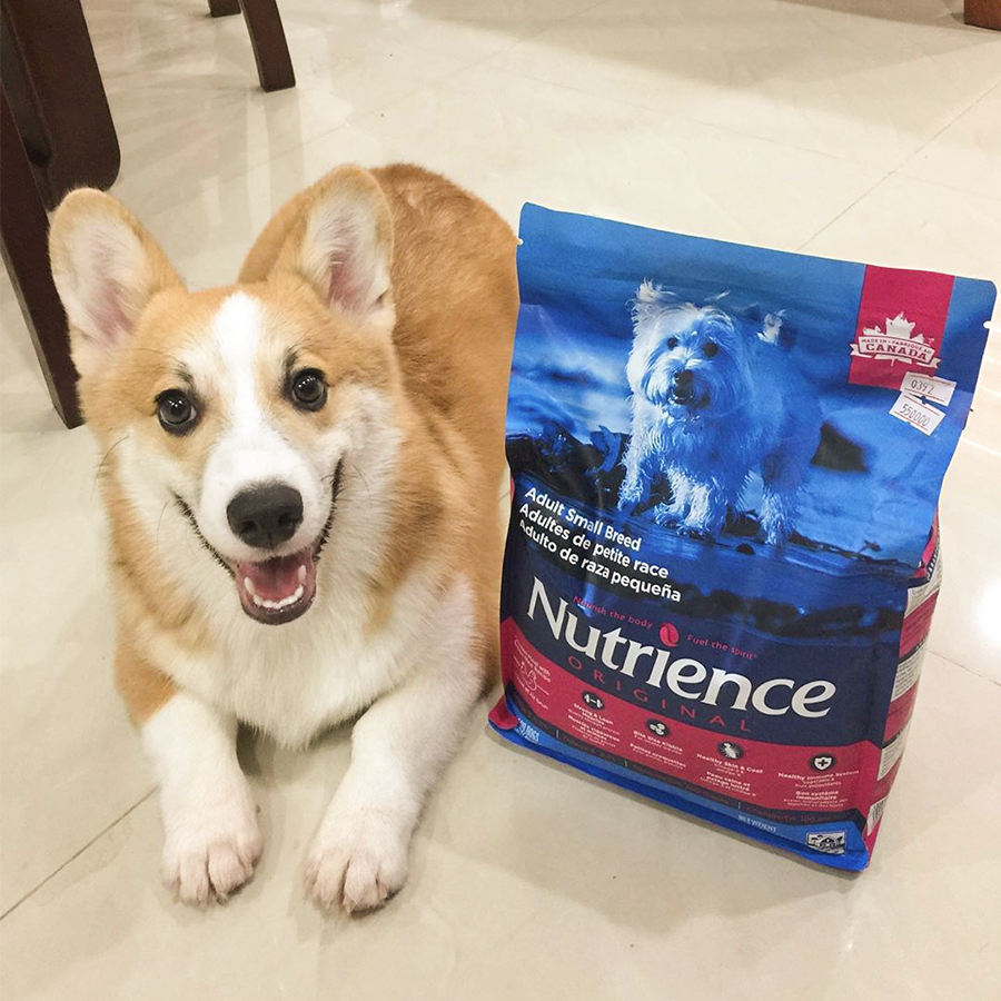 Thức Ăn Cho Chó Poodle Nutrience Infusion 2.27kg - Thịt Gà, Rau Củ Và Trái Cây Tự Nhiên